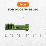 Greenies Petite Dental Dog Treats, Pumpkin Spice Flavor, Limited Edition, 12 oz. Pack (20 Treats) - Image 9
