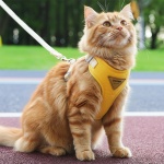Escape-Proof Cat Harness and Leash Set - Adjustable and Comfortable - Ideal for Walking Cat Outdoors - Fits Small Dogs, Kittens, Medium, and Large Cats (Yellow, S) - Image 7