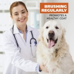 Wahl 2-in-1 Combination Double Row Pet Rake with Hair Shedding Blade for Dog or Cat Fur by The Brand Used by Professionals – Model 858424 - Image 5