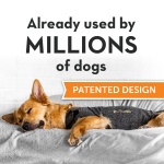 ThunderShirt for Dogs, Medium, Heather Gray Classic - Dog Anxiety Relief Calming Vest - Image 5