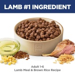 Hill's Science Diet Adult 1-6, Adult 1-6 Premium Nutrition, Dry Dog Food, Lamb & Brown Rice, 15.5 lb Bag - Image 14