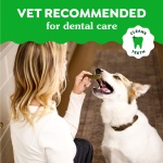 Greenies Gingerbread Flavor Large Size, Veterinarian-Recommended for Dental Care, Dog Treat Chews, Great Holiday Dog Stocking Stuffers, Limited Edition, 6 oz. Pouch (4 Treats) - Image 8