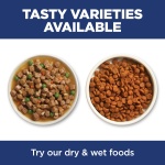 Hill's Science Diet Indoor, Adult 1-6, Easy Litter Box Cleanup, Dry Cat Food, Chicken Recipe, 3.5 lb Bag - Image 8