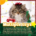 ALL FOR PAWS Christmas Cat Toys Happy Holiday Kitten Toys with Catnip, Crinkle Sound 2 Set Candy Cane Designs Kitty Toy - Image 3