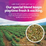 SmartyKat Flutter Balls Catnip Plush and Feather Cat Toys, Erratic Motion for Batting & Pouncing Fun for Cats & Kittens, Set of 2 - Image 7