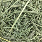 Oxbow Western Timothy Hay, Guinea Pig Hay, Small Pet Bunny Supplies, All Natural Grass for Guinea Pig, Bunny, Chinchilla & Hamster, Oxbow Rabbit Supplies for Bunnies, 90 oz. bag - Image 14