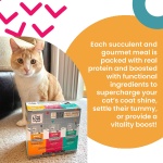 I and Love and You Feed Meow Wet Cat Food Toppers, Shine Formula with Salmon and Tuna, Omegas 3 and 6 for Healthy Skin and Coat, Grain Free, No Fillers, 3 Oz Pouches, 1 Pouch Trial Size - Image 4