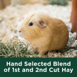 Kaytee Wafer Cut All Natural Timothy Hay for Pet Guinea Pigs, Rabbits & Other Small Animals, 60 Ounce - Image 9