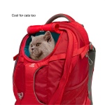 Kurgo G-Train Dog Carrier Backpack - Comfortable Travel Bag for Pets Up to 25 lbs - Waterproof Bottom - Multi-Compartment Pack - Dog Hiking Gear - Rugged Adventure Backpack - Red - Image 3