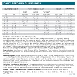 NutriSource Adult Dry Dog Food, Chicken and Rice, 26LB - Image 3