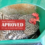 Nest Box Pads for Chicken Nesting Boxes - 13 x 13 Pads Made in USA from Sustainably Sourced Aspen Excelsior (10 Pack) - Image 6