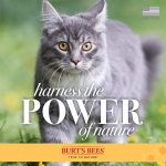 Burt's Bees for Pets Waterless Cat Grooming Spray with Shea Butter and Honey, 99.3% Natural Origin Formulas, Cats Dry Shampoo, Kitten Supplies, 6pk, 10oz - Image 3