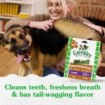 Greenies Gingerbread Flavor Large Size, Veterinarian-Recommended for Dental Care, Dog Treat Chews, Great Holiday Dog Stocking Stuffers, Limited Edition, 6 oz. Pouch (4 Treats) - Image 4