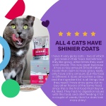 I and Love and You Feed Meow Wet Cat Food Toppers, Shine Formula with Salmon and Tuna, Omegas 3 and 6 for Healthy Skin and Coat, Grain Free, No Fillers, 3 Oz Pouches, 1 Pouch Trial Size - Image 6