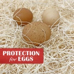 Nest Box Pads for Chicken Nesting Boxes - 13 x 13 Pads Made in USA from Sustainably Sourced Aspen Excelsior (10 Pack) - Image 5