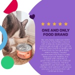 I and love and you XOXOs Wet Cat Food - Salmon + Tuna Pâté - Grain Free, Filler Free, 3oz Pack of 24 Cans - Image 6